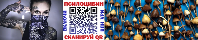 blacksprut ССЫЛКА где найти наркотики Отрадное Псилоцибиновые грибы Cubensis